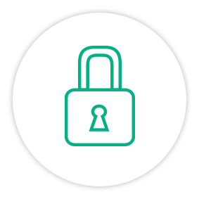 Solution Painpoint Icon Secure Lock