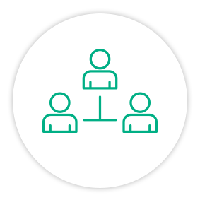Solution Painpoint Icon Triage People